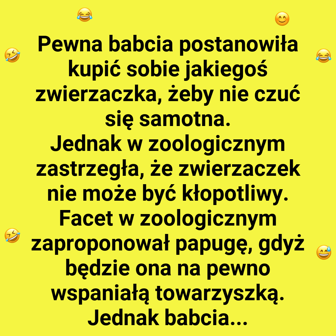 Babcia kontra papuga