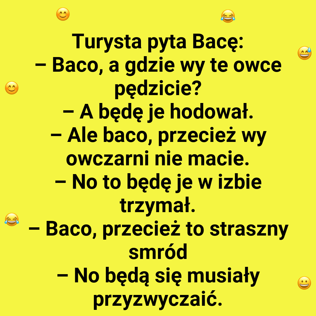 Baca i jego owcze plany!
