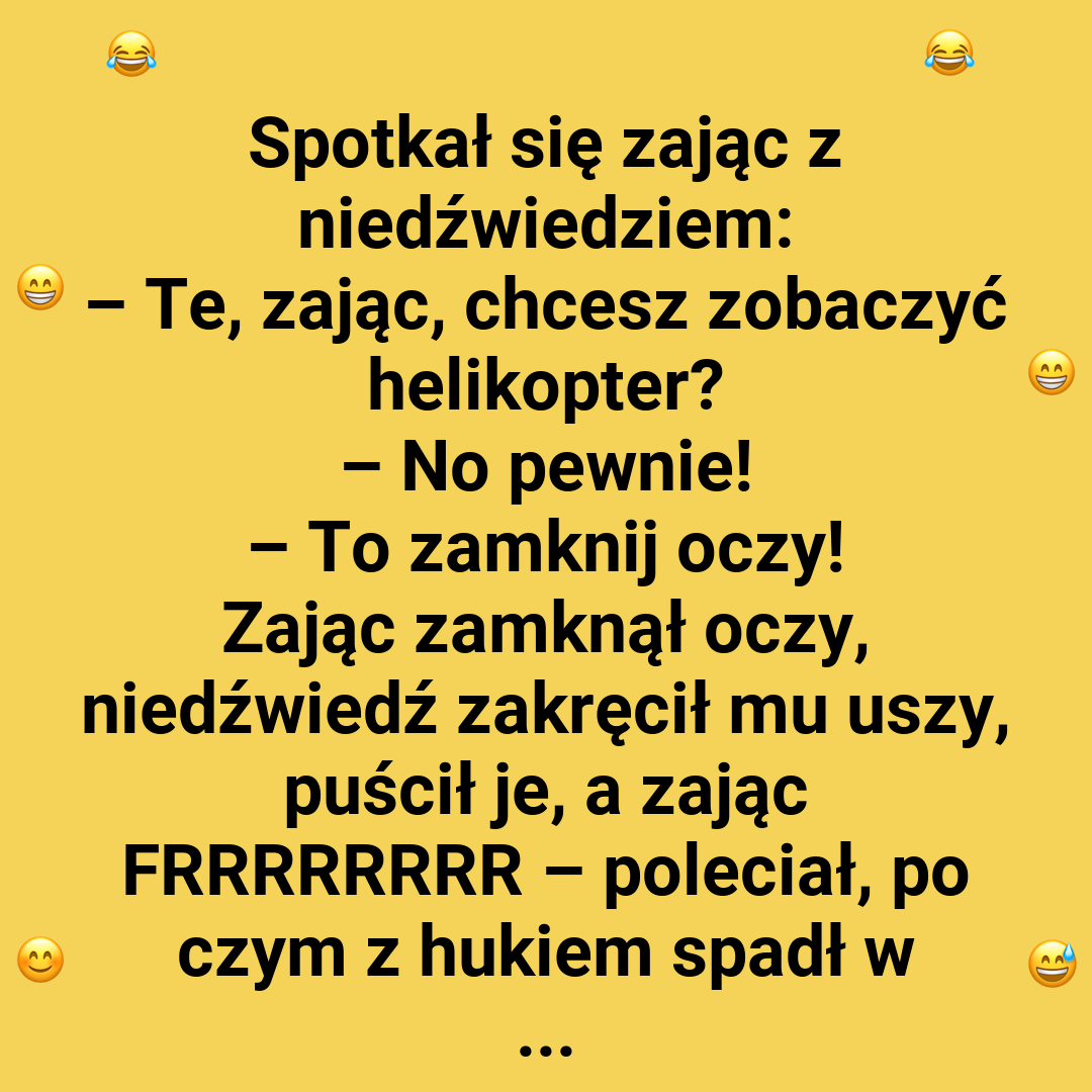 Gdy Zając Zostaje Pilotem