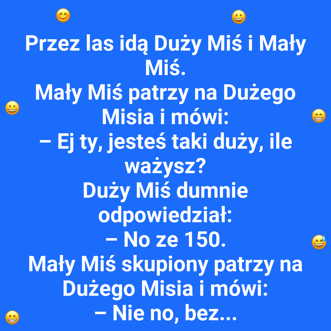 Ile waży duży miś