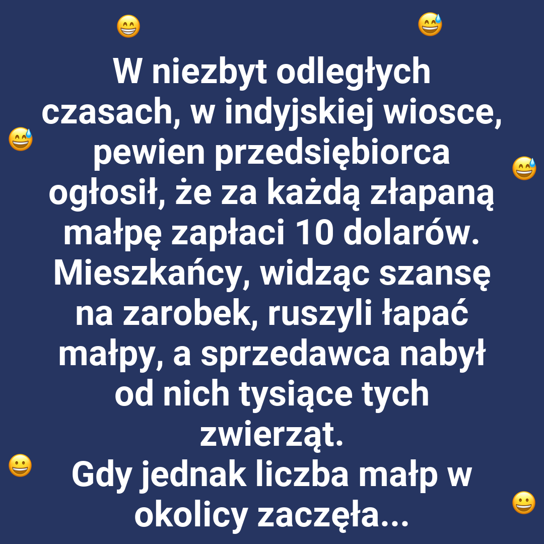 Inwestycja w małpy