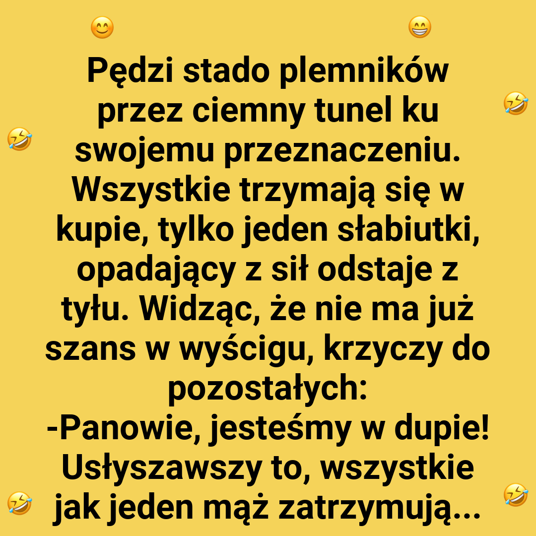 Jak intelektualista przechytrzył resztę
