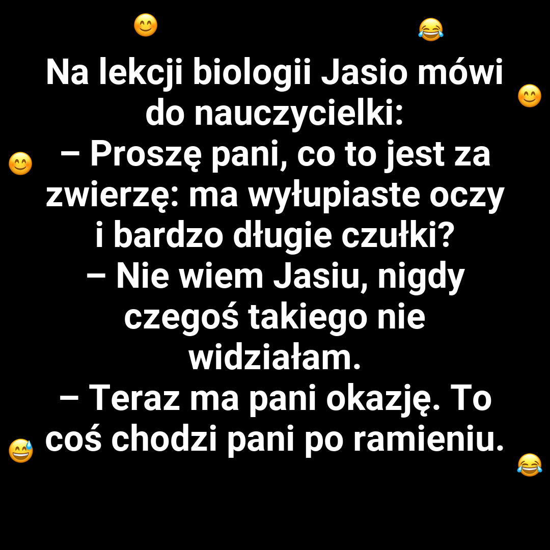 Jasiowe odkrycie