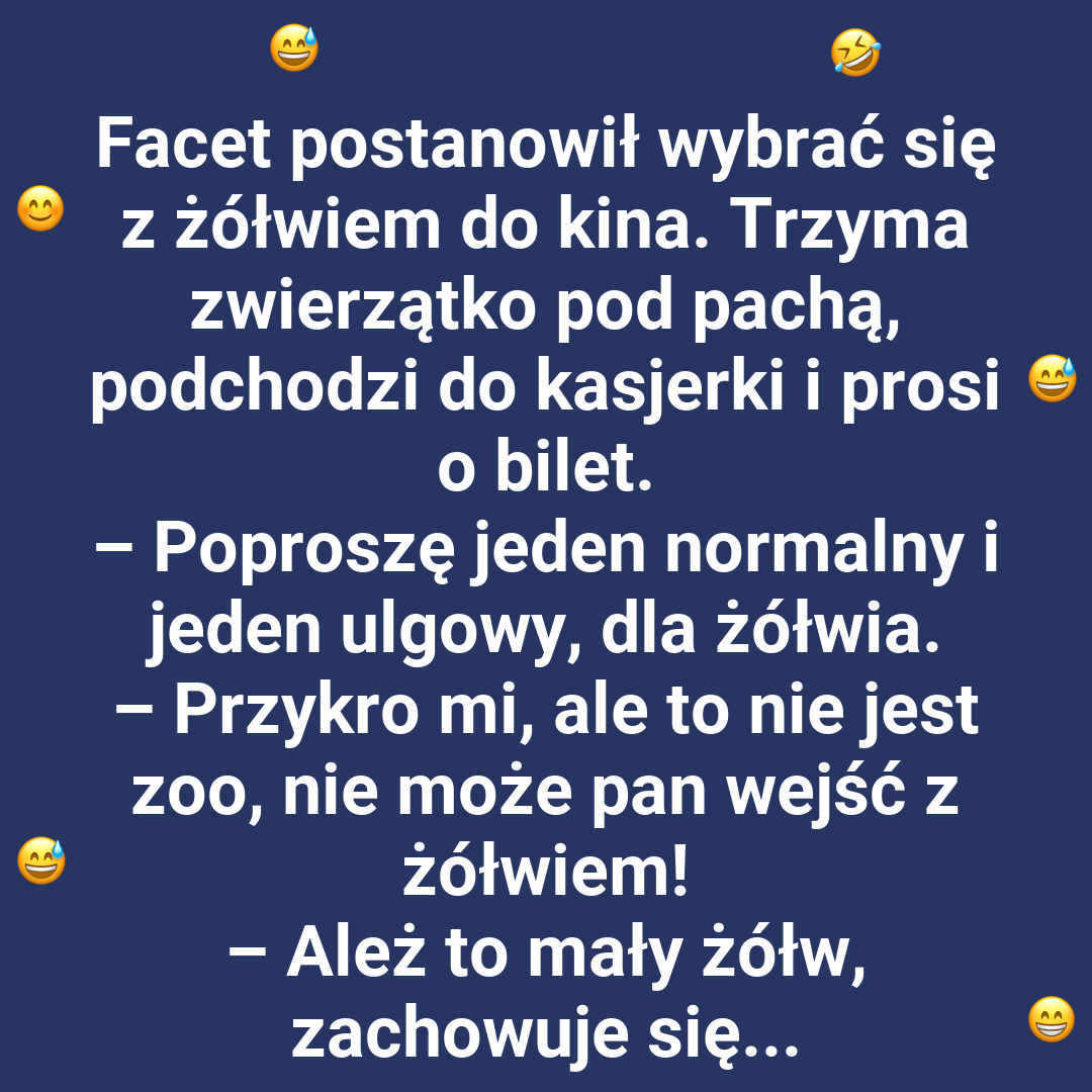 Kino z żółwiem