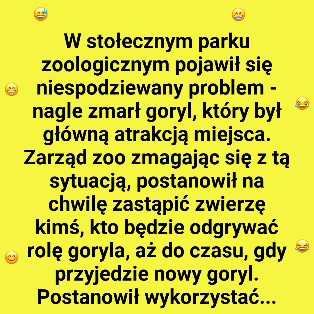 Kłopot w ZOO
