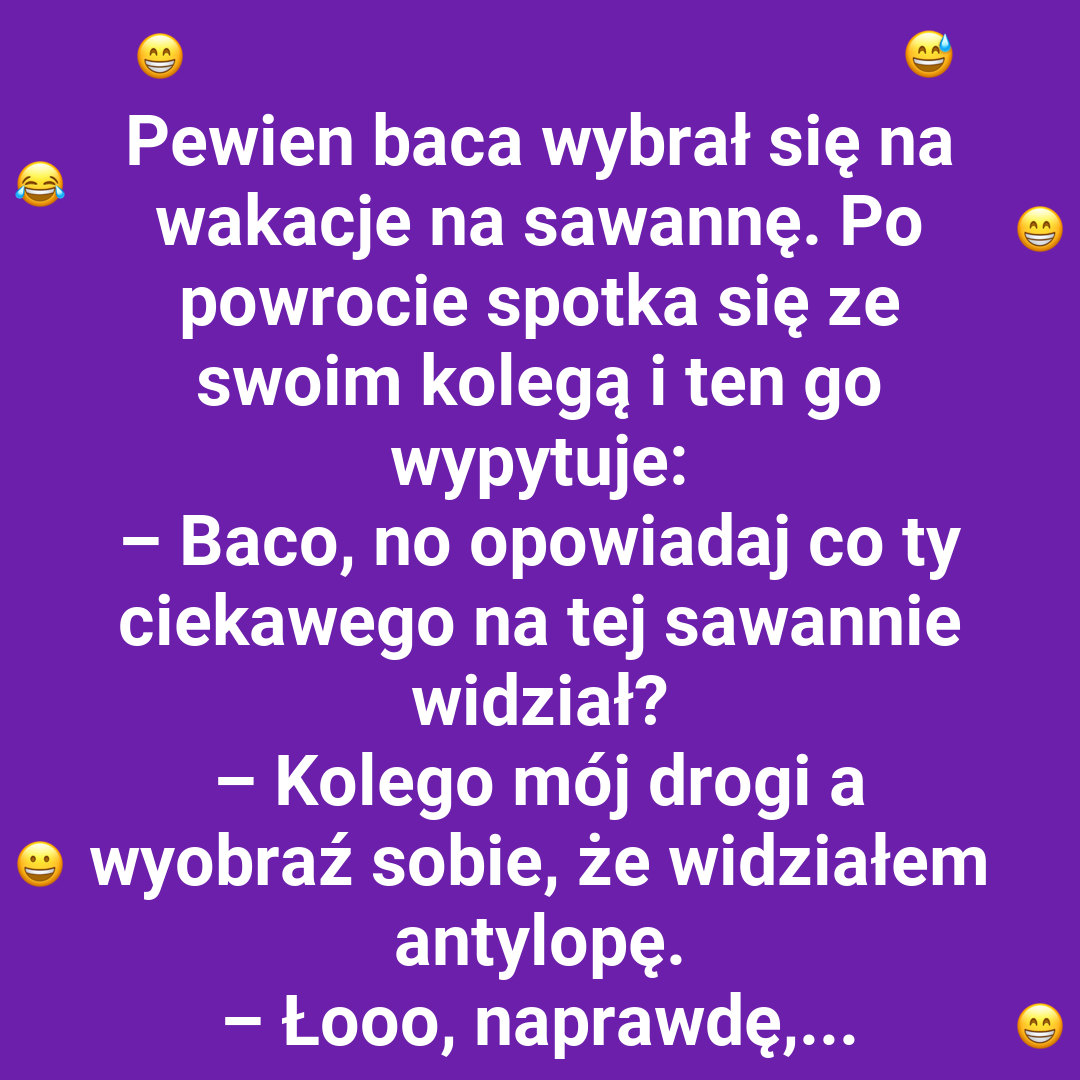 Koń czy nie koń