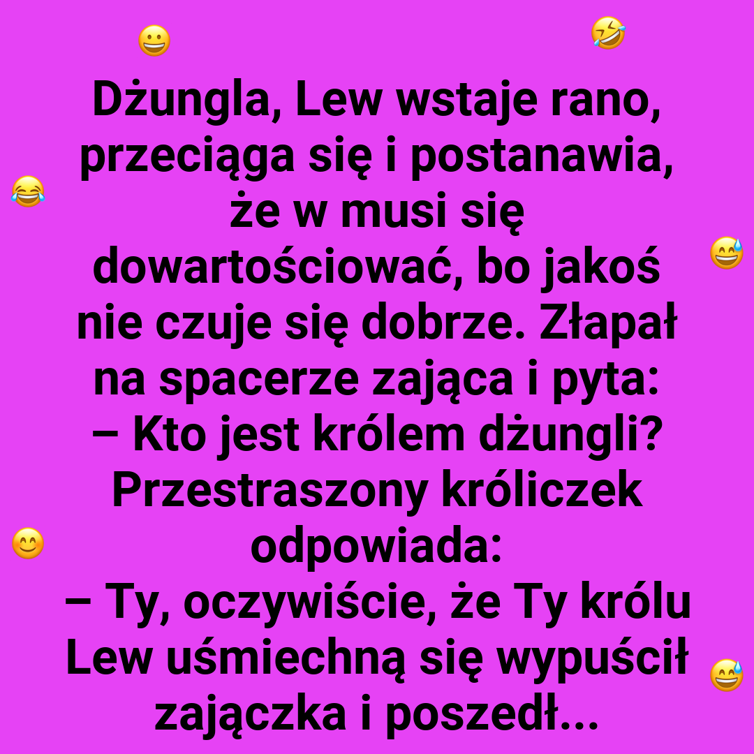 Kto rządzi w dżungli?
