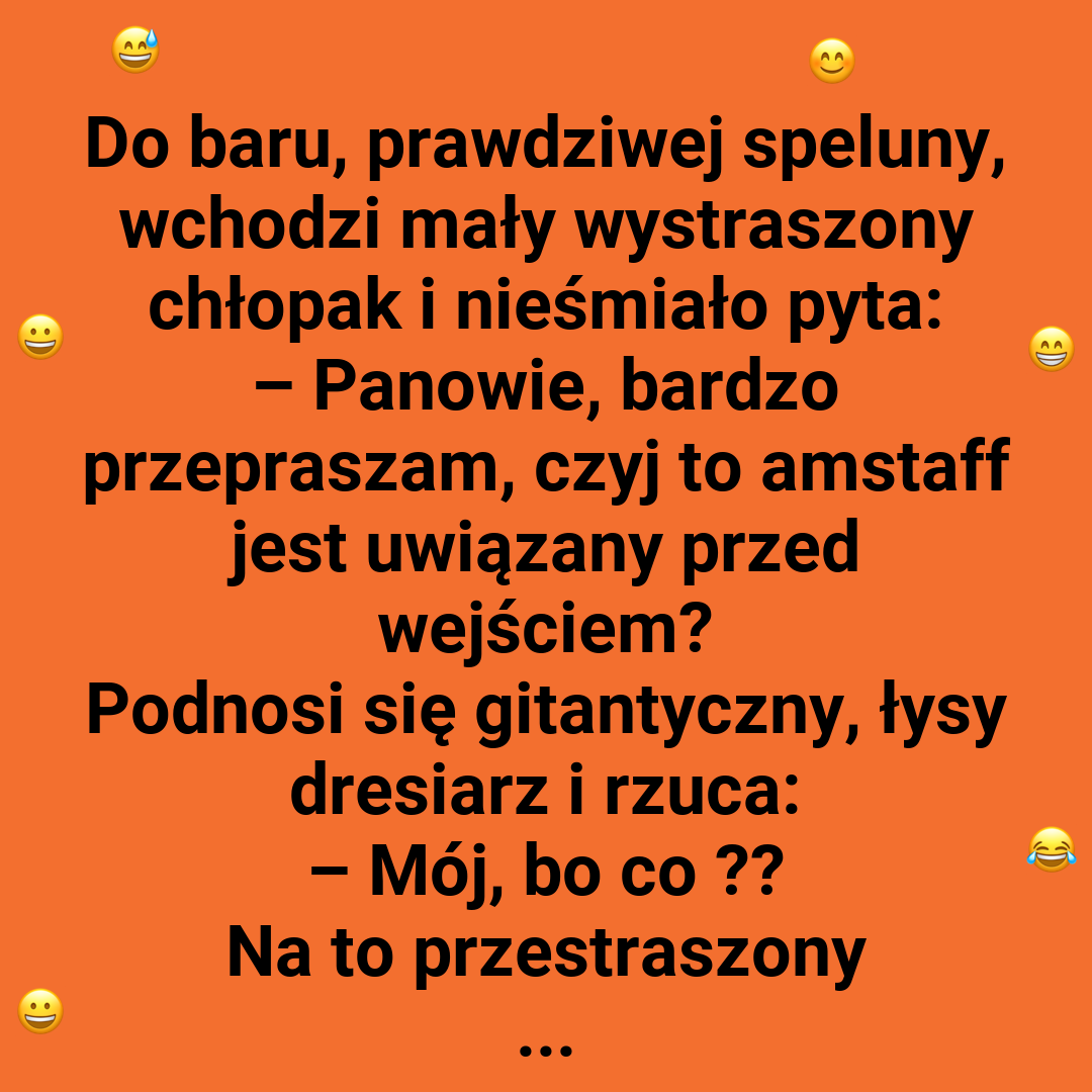 Niespodziewany zwrot akcji w psiej konfrontacji