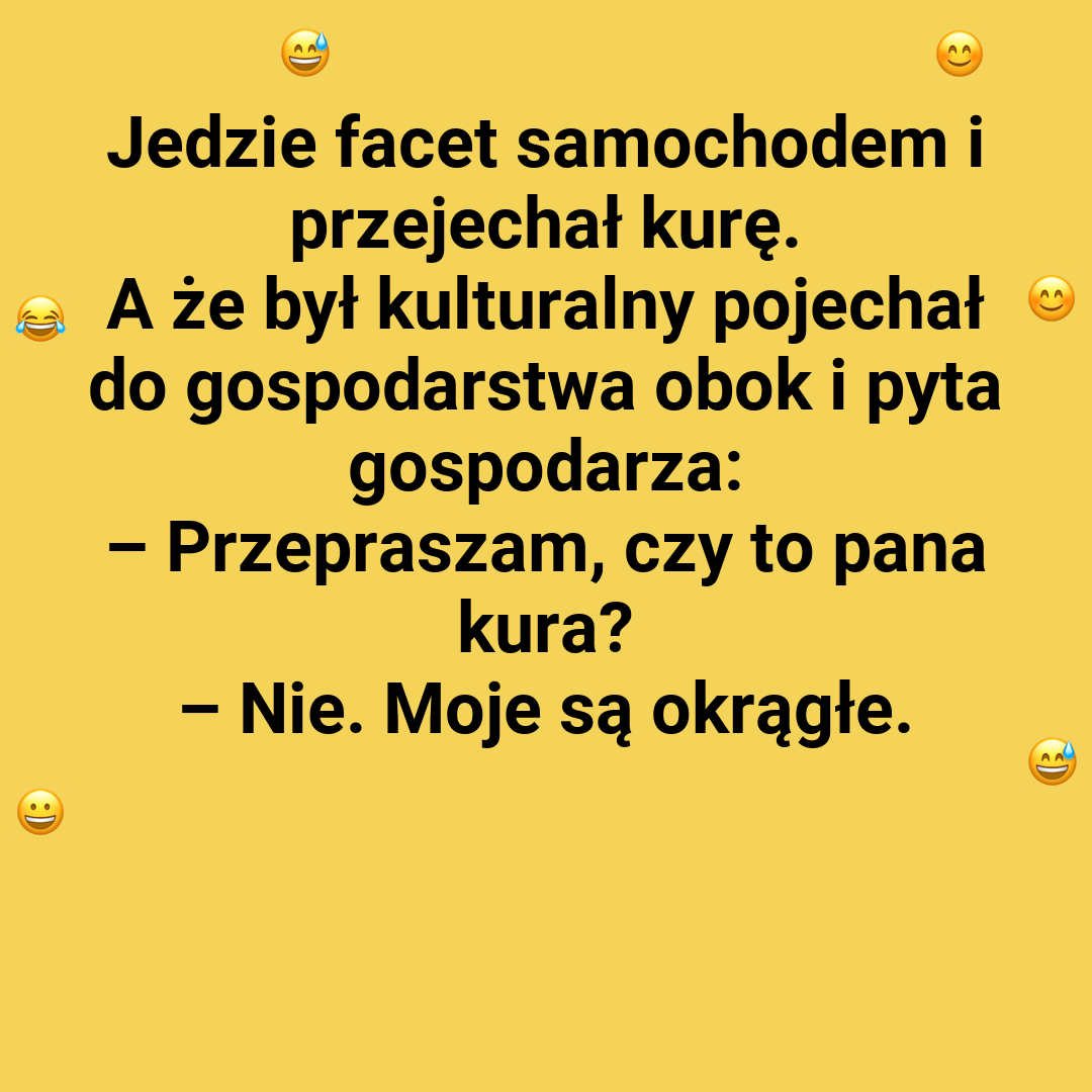 Niezwykłe kury