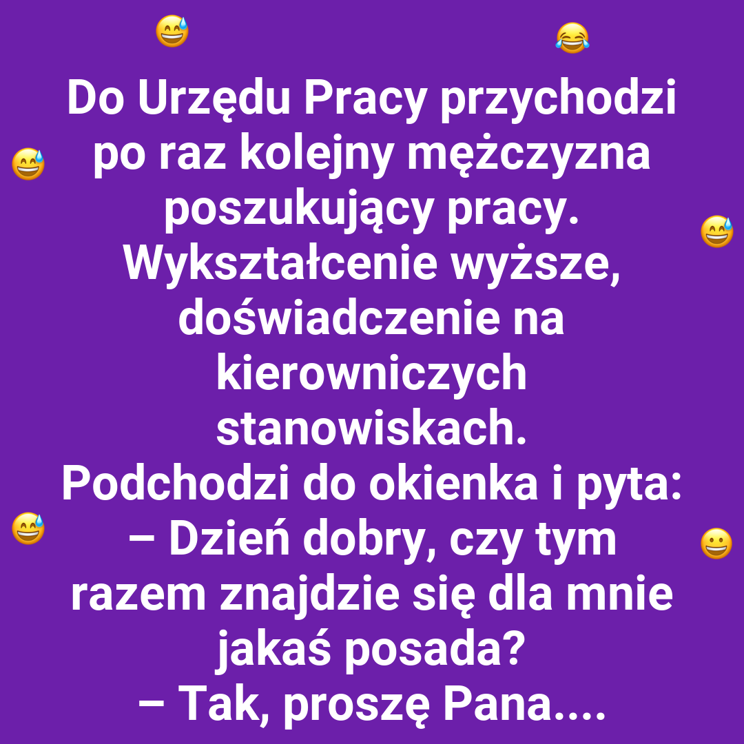 Oferty pracy jak z marzeń