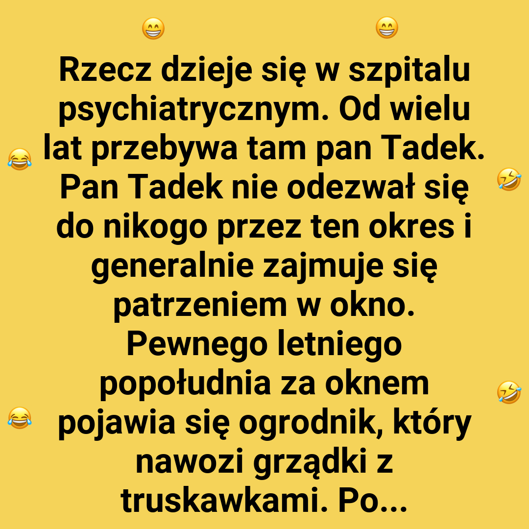 Pan Tadek i jego metoda