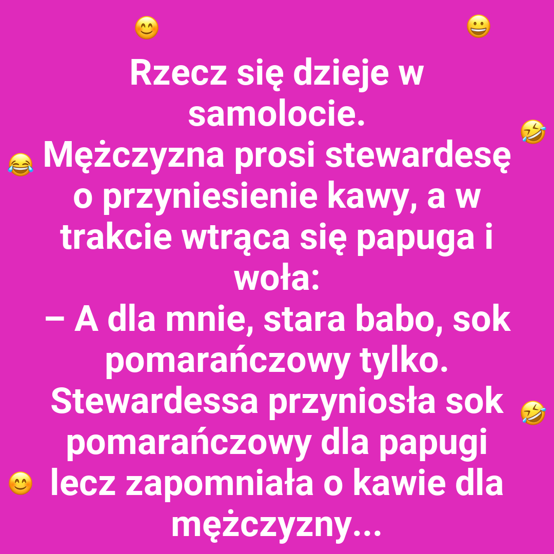 Papuga uczy odwagi – z przestrogą