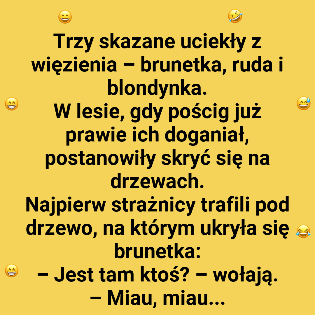 Sprytne kryjówki - blondynka, ruda i brunetka na drzewach