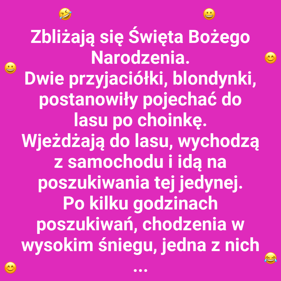 Świąteczna wyprawa