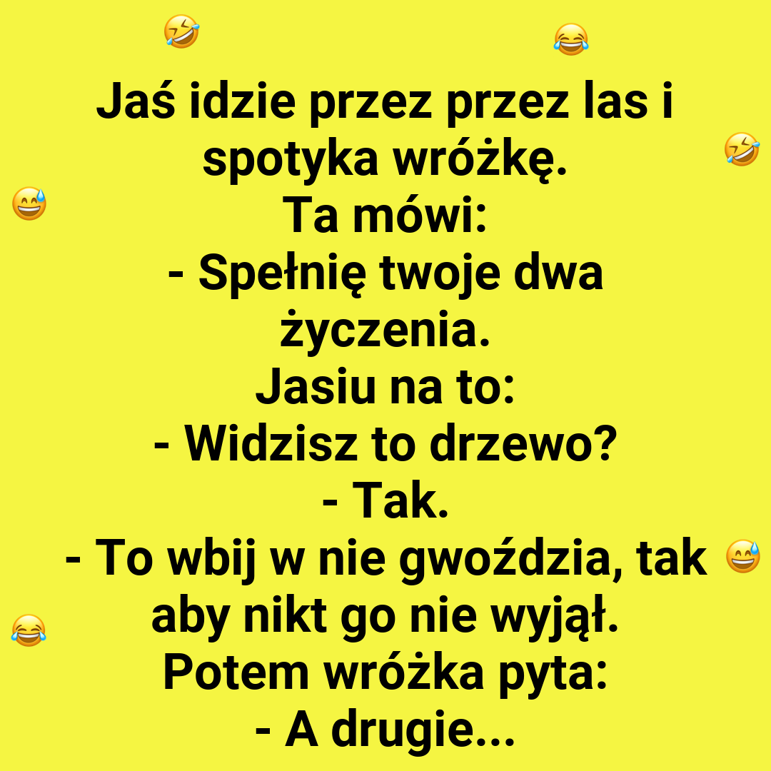 Wróżka spełnia życzenia Jasia