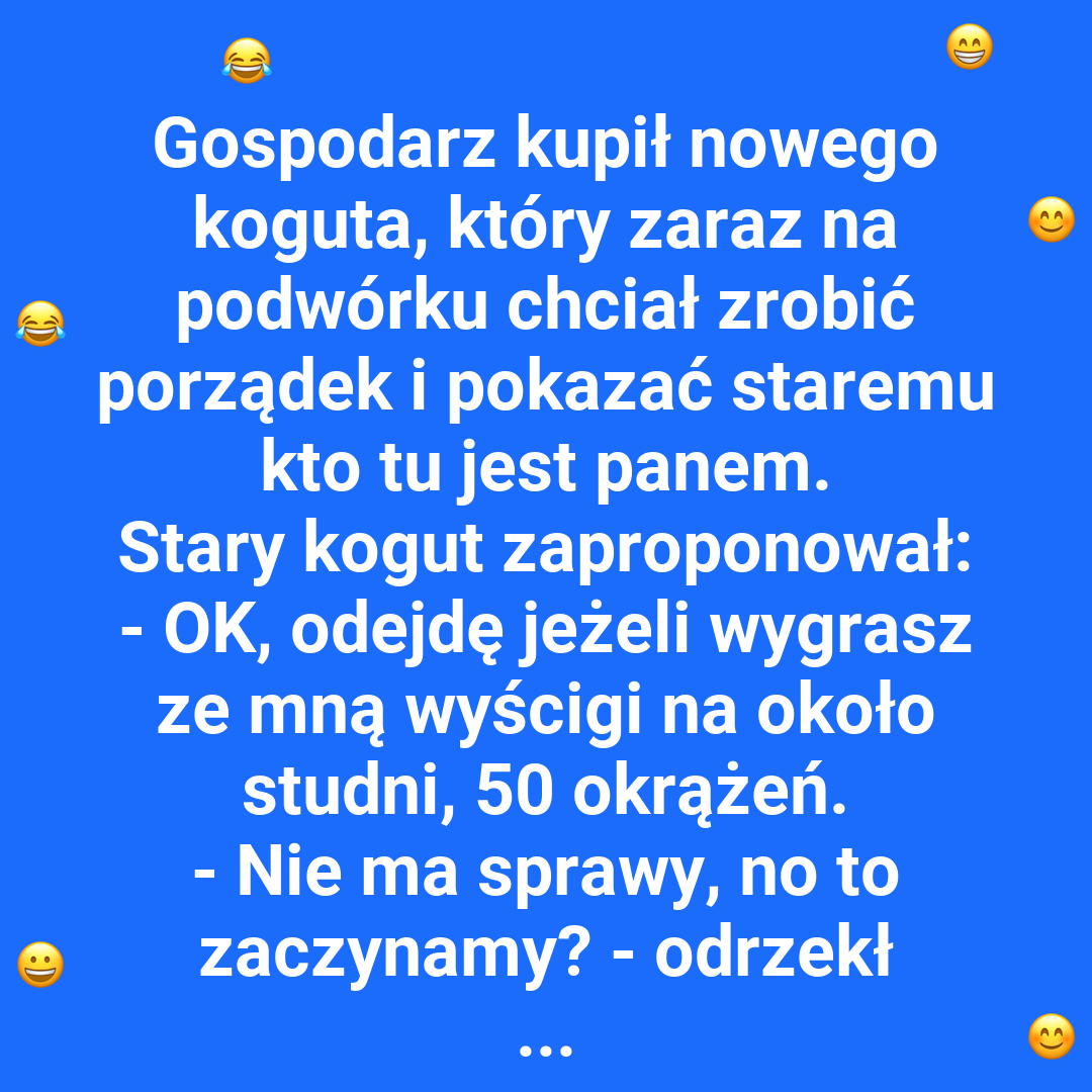 Wyścig kogutów