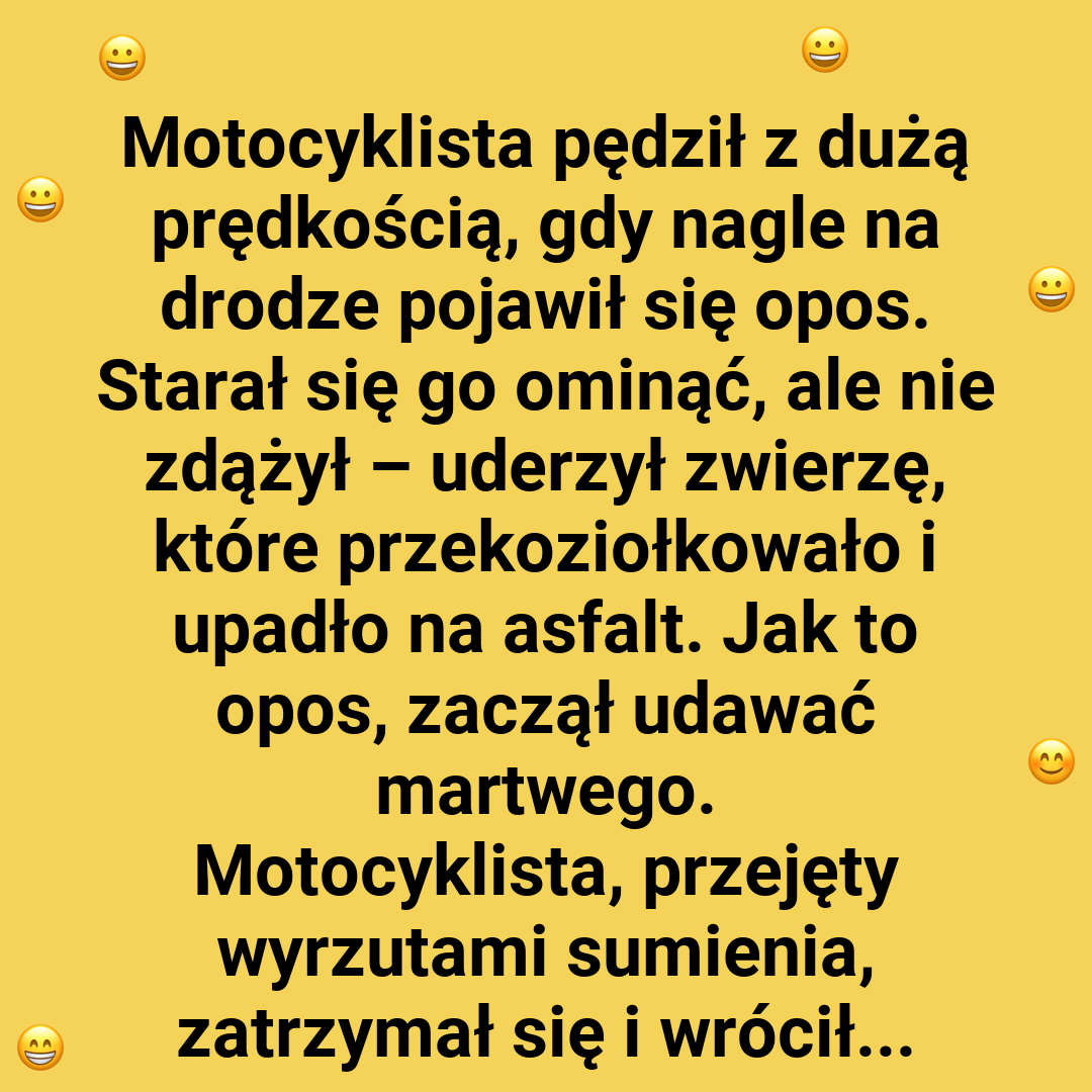 Zwrot akcji w schronisku